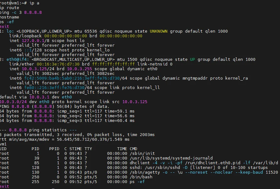 Configuration réseau et processus vus depuis l'intérieur du conteneur