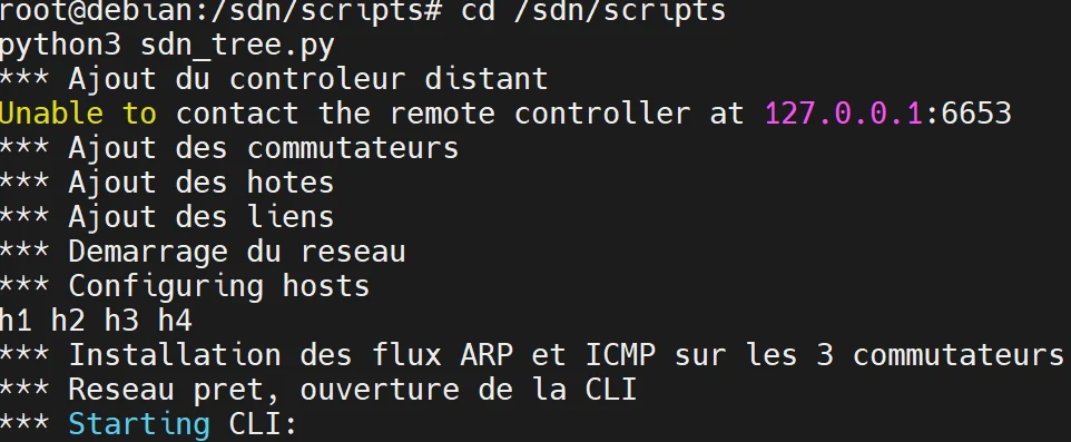 Script Python : reconstruction de la topologie et installation automatique des flux