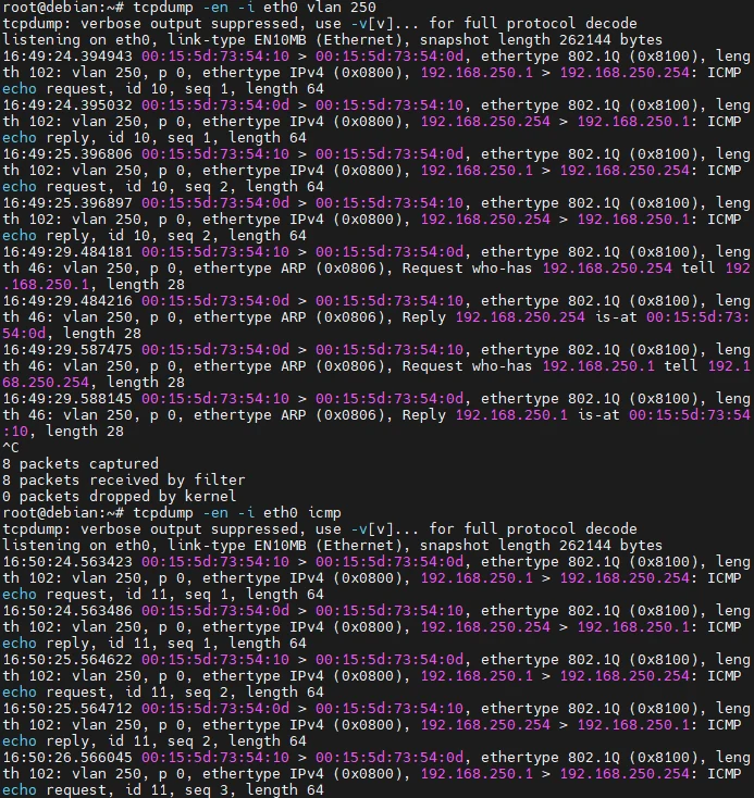 Capture tcpdump : trames étiquetées 802.1Q du VLAN 250